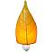 Eangee Leaf 8" High Yellow Cocoa Leaf Plug-In Night Light