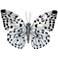 Eangee White Morpho Butterfly 11"W Capiz Shell Wall Decor