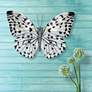 1_Eangee White Morpho Butterfly 11"W Capiz Shell Wall Decor