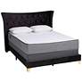 Easton Black Velvet Fabric Queen Size Panel Bed