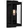 Eastover 1-Light Earth Black Outdoor Wall Lantern
