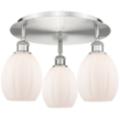 Innovations Lighting Eaton Silver Collection