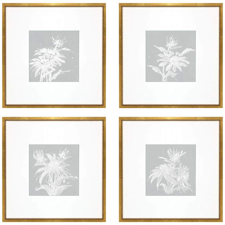 Image 2 Echinacea 20" Square 4-Piece Giclee Framed Wall Art Set
