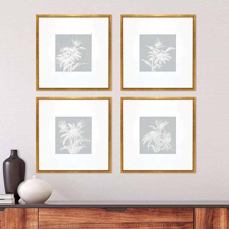 Image 1 Echinacea 20" Square 4-Piece Giclee Framed Wall Art Set