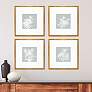 Echinacea 20" Square 4-Piece Giclee Framed Wall Art Set