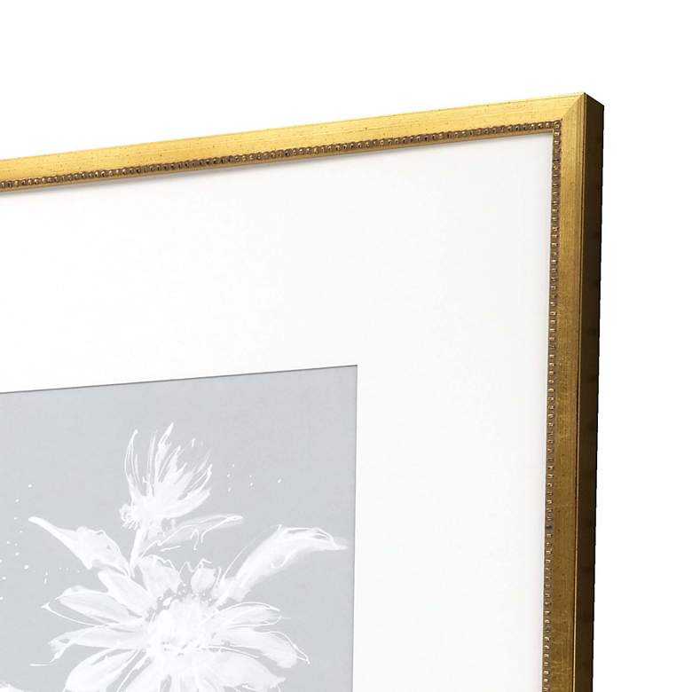 Image 3 Echinacea 20" Square 4-Piece Giclee Framed Wall Art Set more views