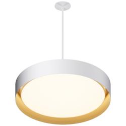 Echo 24" LED Pendant