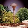 1_Eclipse 25" High Textured Tannery Bronze Outdoor Path Light
