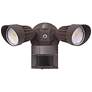 Eco-Star 13" Wide Bronze Finish Motion Sensor LED Security Light in scene