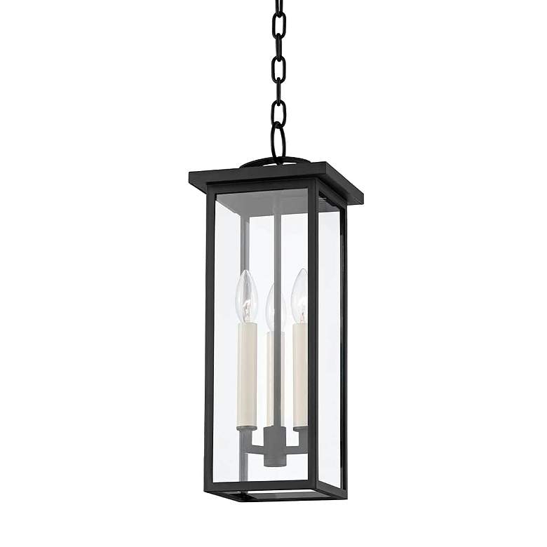 Image 1 Eden 19 1/2" High Textured Black Outdoor Hanging Light