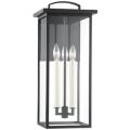 Troy Lighting Eden Black Collection