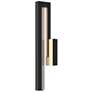 Edge Medium LED Outdoor Sconce - Black Finish - Clear Glass