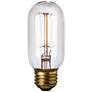Edison Filament 60 Watt T14 Clear Glass Incandescent Bulb