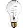 Edison Filament Style 60 Watt Medium Base Light Bulb by Tesler