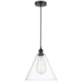 Innovations Lighting Edison Glass Cone Black Collection