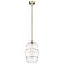 Edison Vaz 10" Wide Antique Brass Stem Hung Mini Pendant With Clear Sh