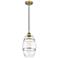 Edison Vaz 8" Wide Brushed Brass Cord Hung Mini Pendant With Clear Sha