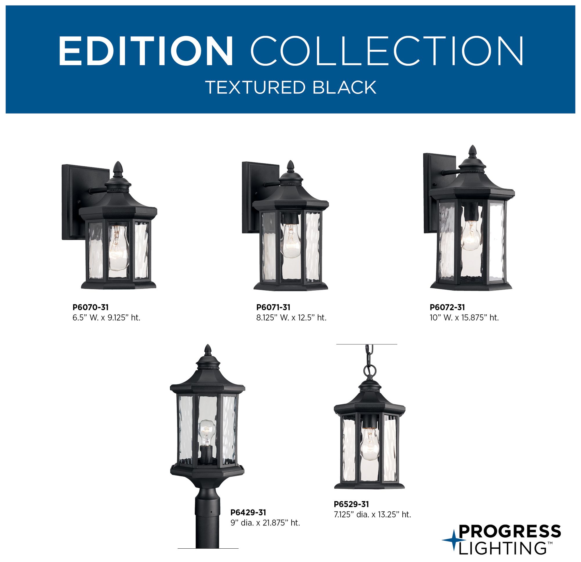 Edition Collection One-Light Hanging Lantern