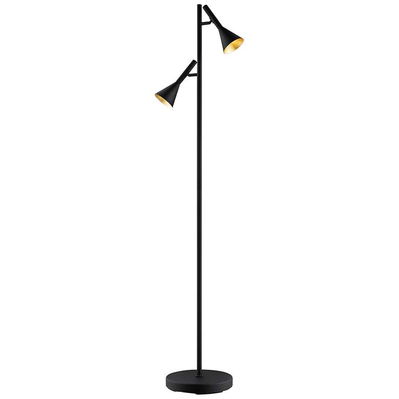 Image 1 Eglo Cortaderas Black Finish 2-Light Metal Floor Lamp