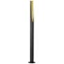 1_Eglo Prebone 71-inch Black and Gold Leaf
