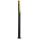 Eglo Prebone 71-inch Black and Gold Leaf