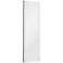 Elan Ryame Matte Silver 20" x 59" LED Lighted Wall Mirror