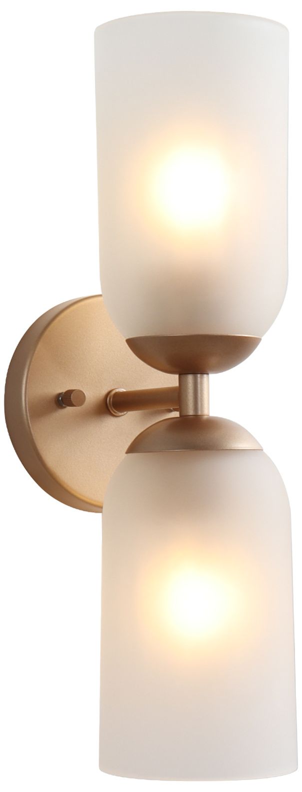 Elara Modern Warm Gold 2-Light Frosted Glass Wall Sconce Vanity Light