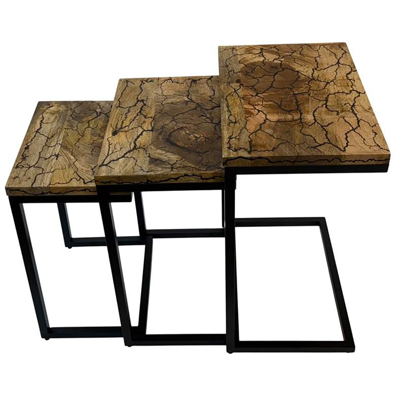 Image 1 Electra 3 Piece Nesting Table Set - Electrified Wood - Black Iron