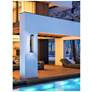 2_Elegant Amaris 32 inch LED Outdoor Wall sconce in Black more views