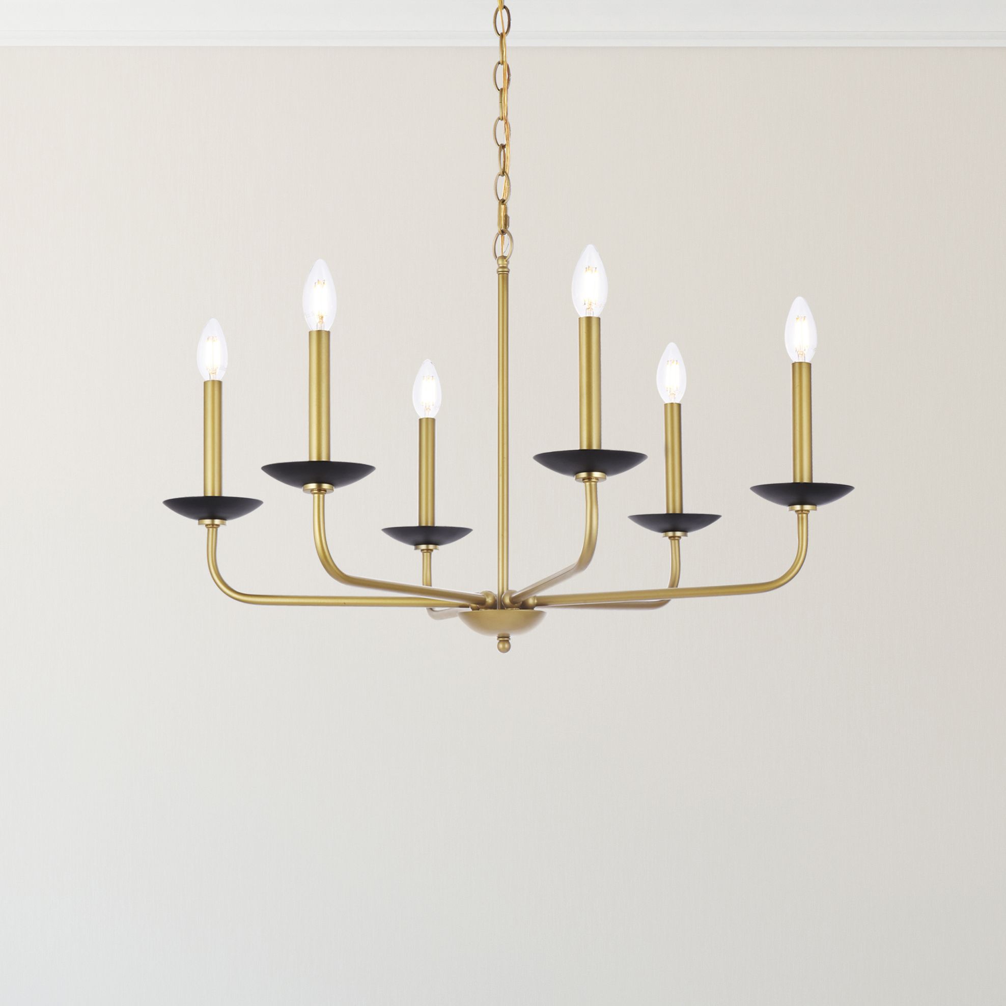 Elegant Cohen Black Collection