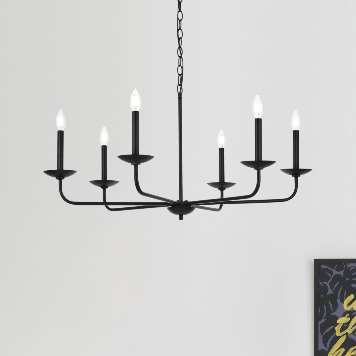 Elegant Cohen Black Collection