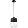 1_Elegant Lighting Ashwell 7" WIde Black and Clear Glass Mini Pendant