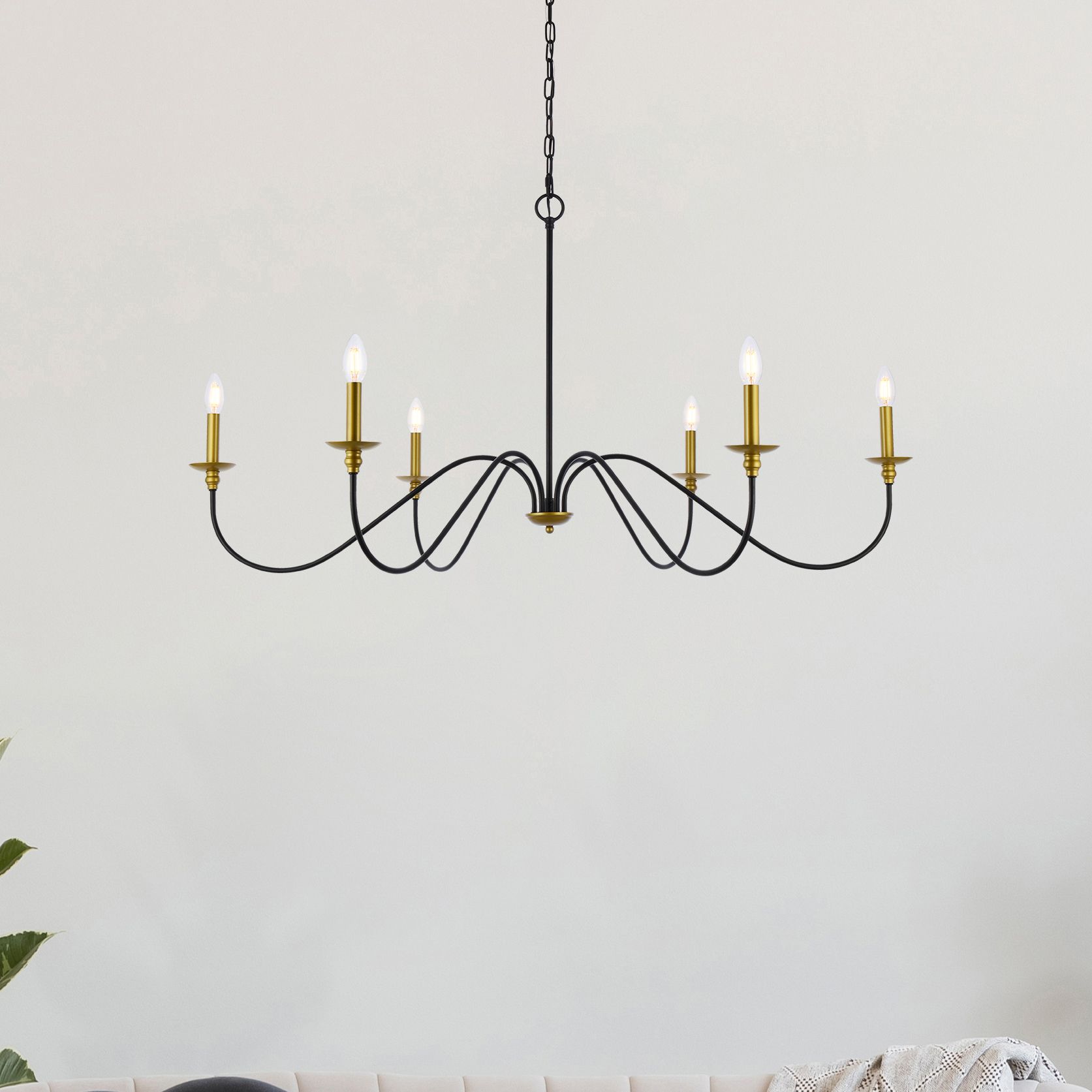 Elegant Rohan Black Collection