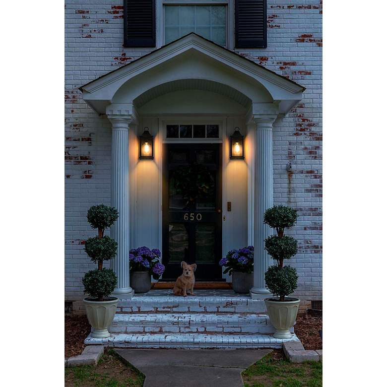Image 6 Elegant Shepard 6 inch Outdoor Wall Sconce in Black more views