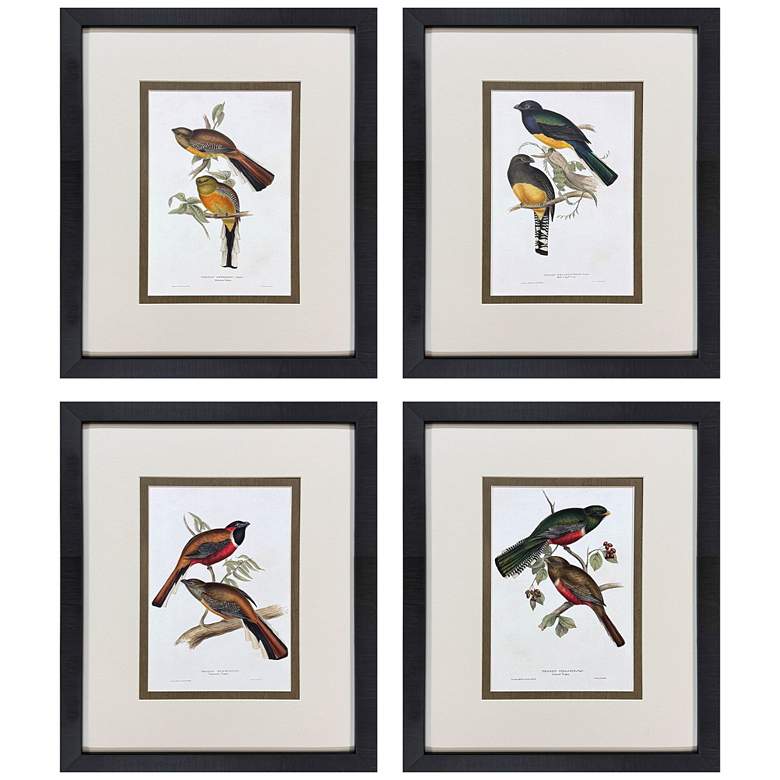 Image 1 Elegant Trogons 17"W x 21"H Traditional Framed Art Set of 4
