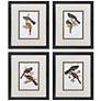 1_Elegant Trogons 17"W x 21"H Traditional Framed Art Set of 4