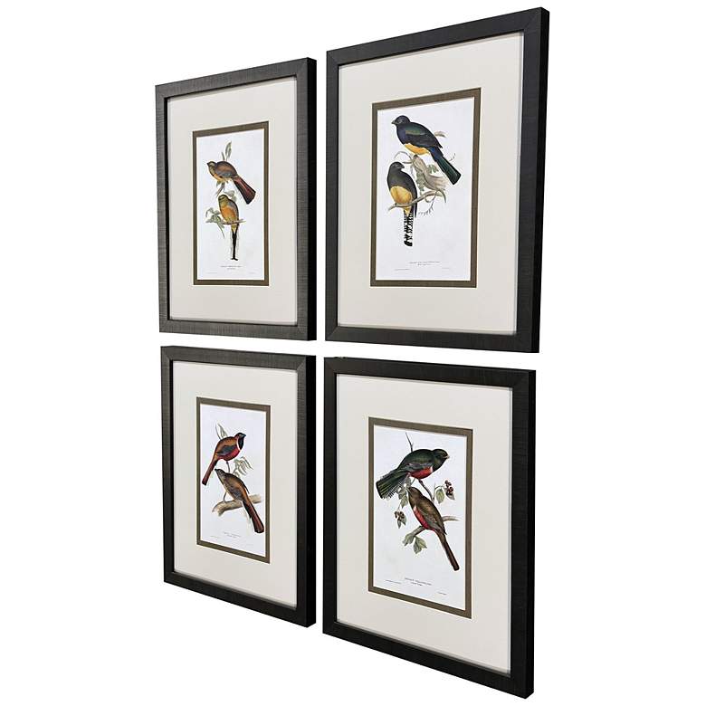 Image 2 Elegant Trogons 17"W x 21"H Traditional Framed Art Set of 4 more views