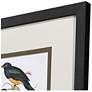 3_Elegant Trogons 17"W x 21"H Traditional Framed Art Set of 4 more views
