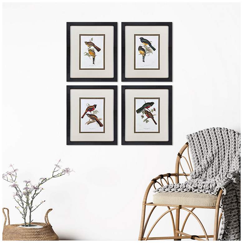 Image 4 Elegant Trogons 17"W x 21"H Traditional Framed Art Set of 4 more views