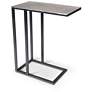 1_Elements Tanu 20.25" Wide Vintage Silver End Table Black Frame