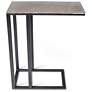 2_Elements Tanu 20.25" Wide Vintage Silver End Table Black Frame more views