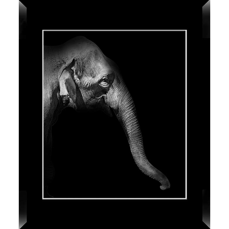 Image 1 Elephant 36 1/2 inch Wide Framed Giclee Wall Art