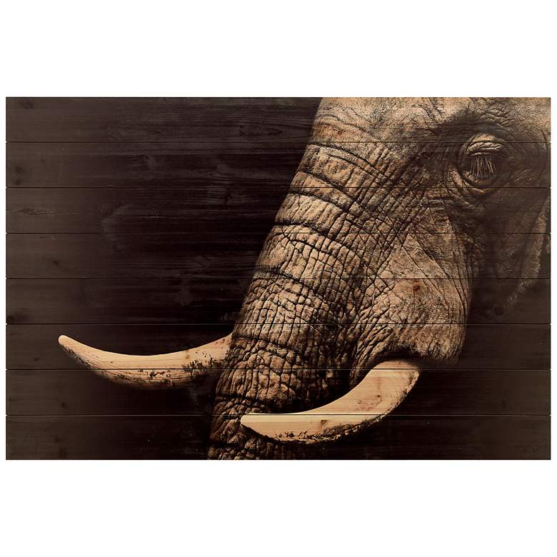 Image 2 Elephant 45"W Rectangular Giclee Print Solid Wood Wall Art