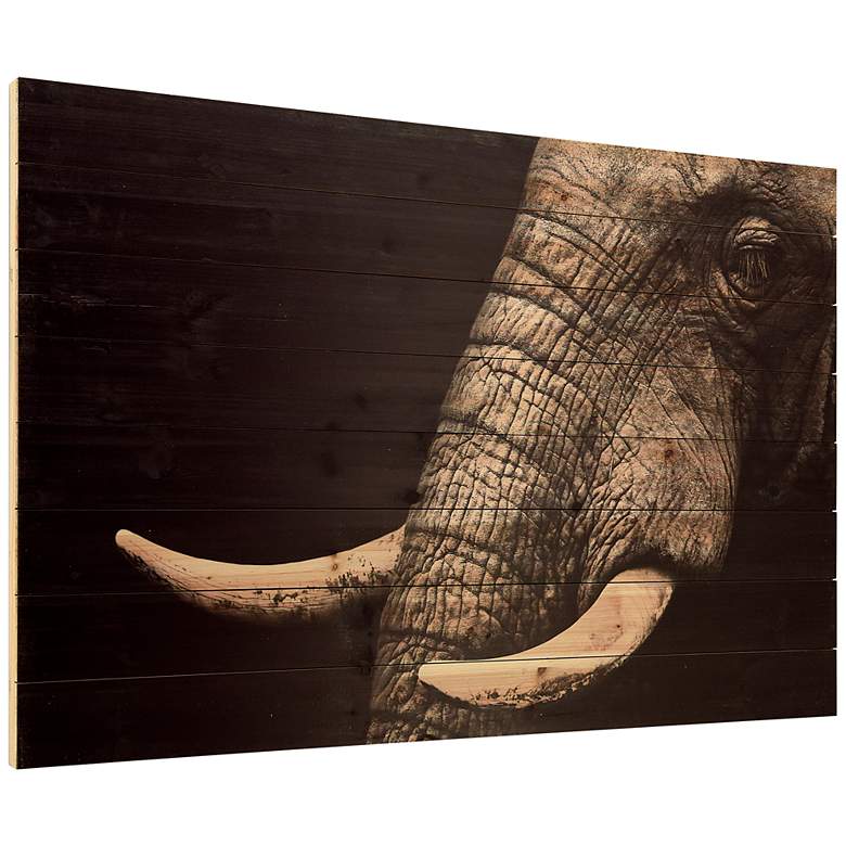 Image 4 Elephant 45"W Rectangular Giclee Print Solid Wood Wall Art more views