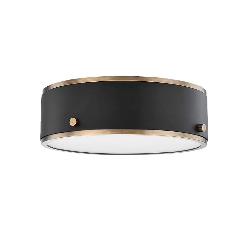 Image 1 Eli 12" Wide Soft Black with Patina Brass LED Ceiling Light