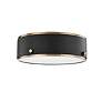 1_Eli 12" Wide Soft Black with Patina Brass LED Ceiling Light