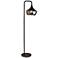 Eliza Black Metal Floor Lamp w/ Smoked Mercury Glass Shade
