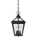 Savoy House Ellijay Black Collection