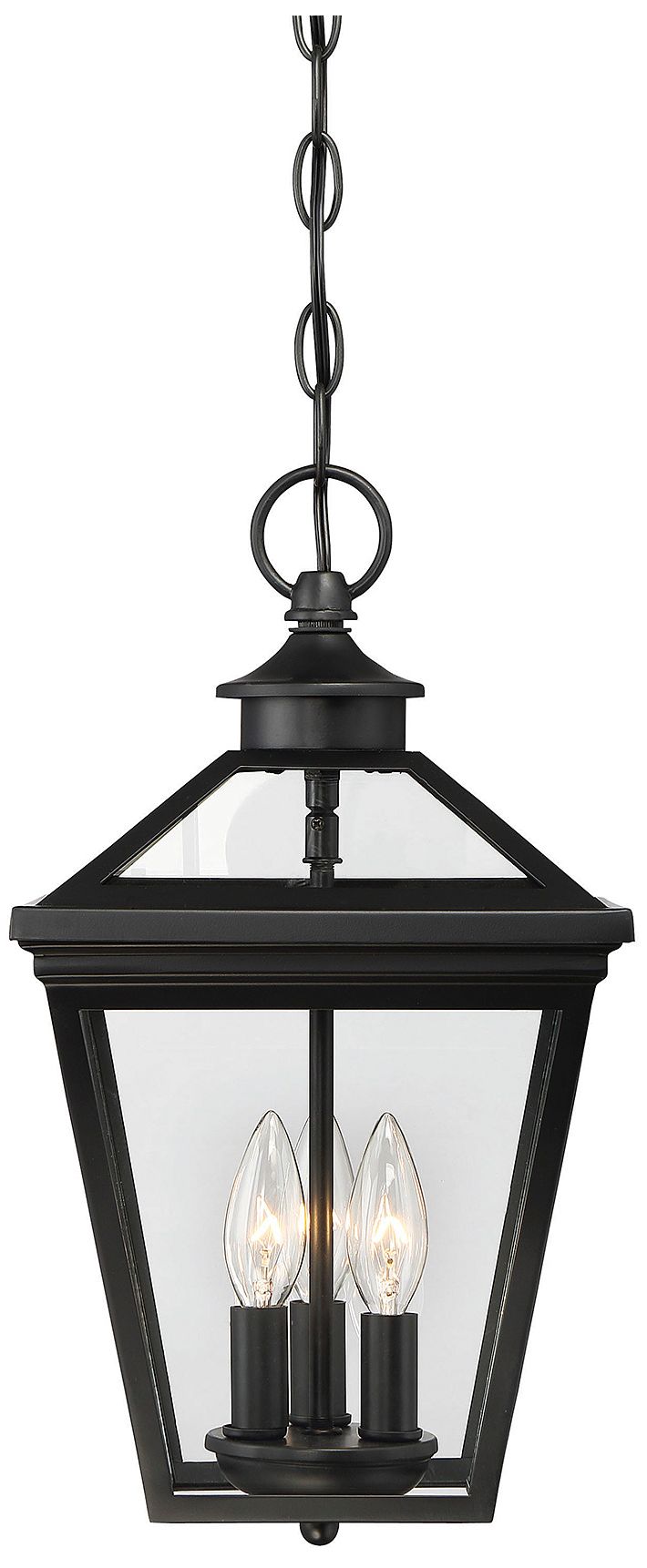 Ellijay 3-Light Outdoor Hanging Lantern in Black