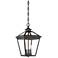Ellijay 3-Light Outdoor Hanging Lantern in English Bronze